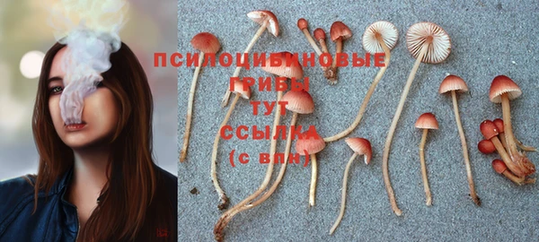 прущая мука Белоозёрский