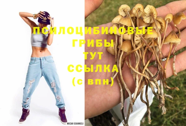 прущая мука Белоозёрский